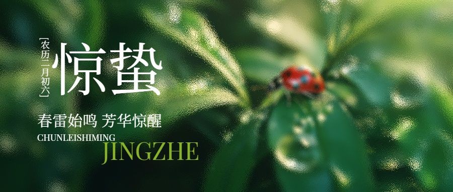 春节愉快哟